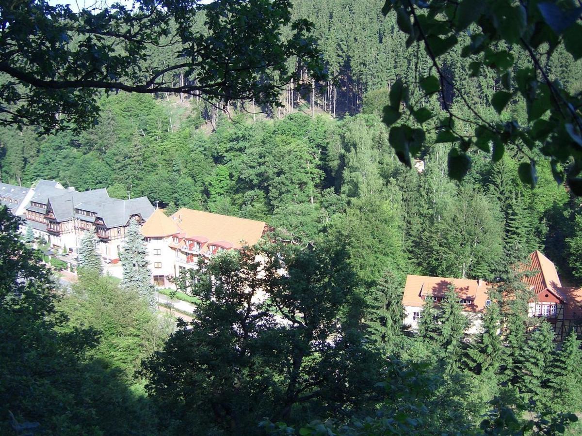 Hotel Habichtstein Alexisbad Bagian luar foto