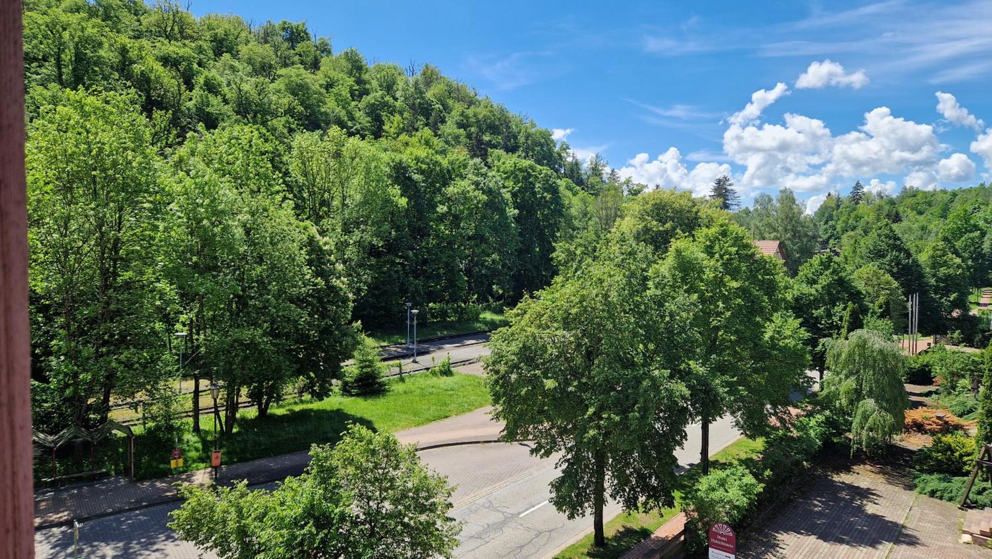 Hotel Habichtstein Alexisbad Bagian luar foto