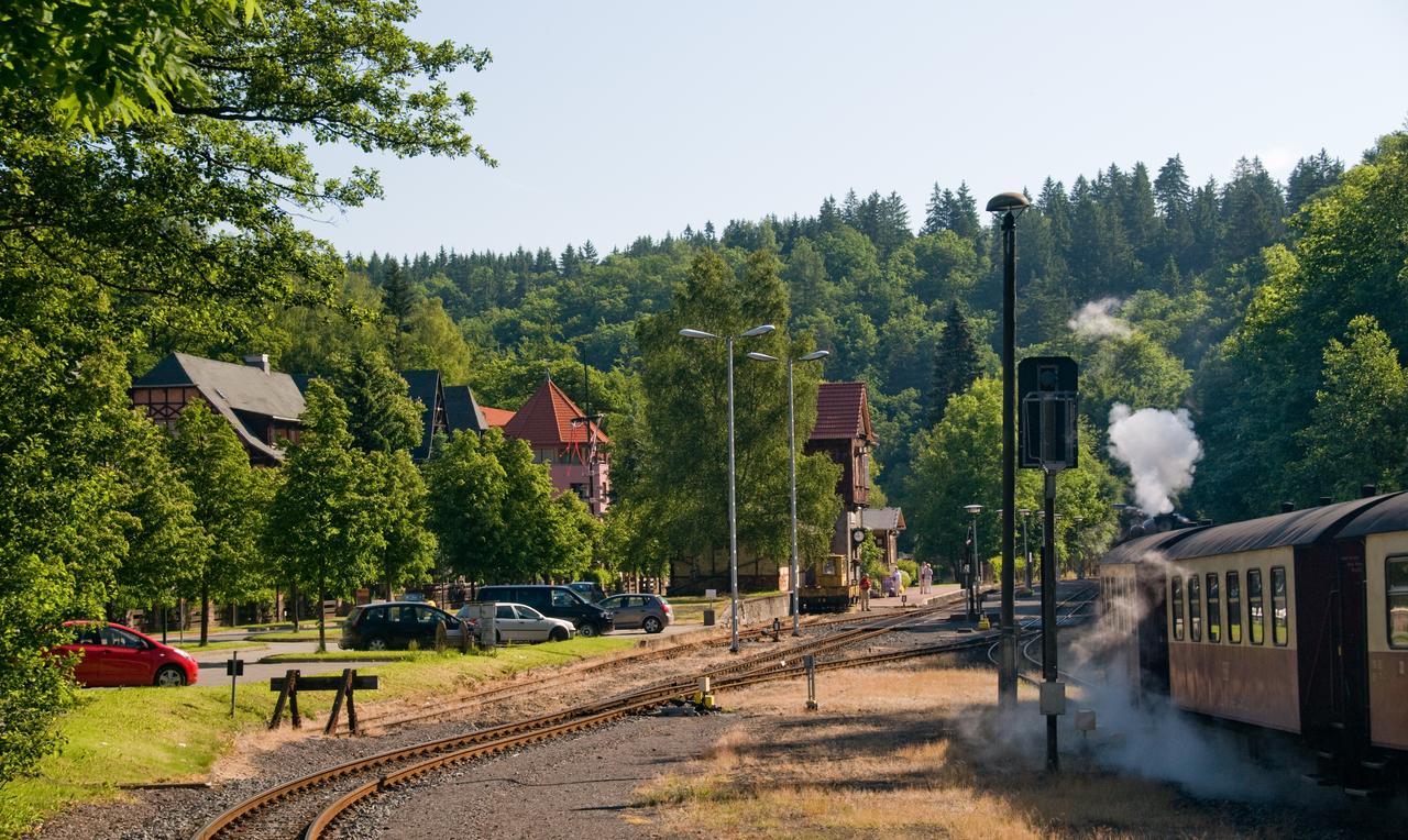 Hotel Habichtstein Alexisbad Bagian luar foto